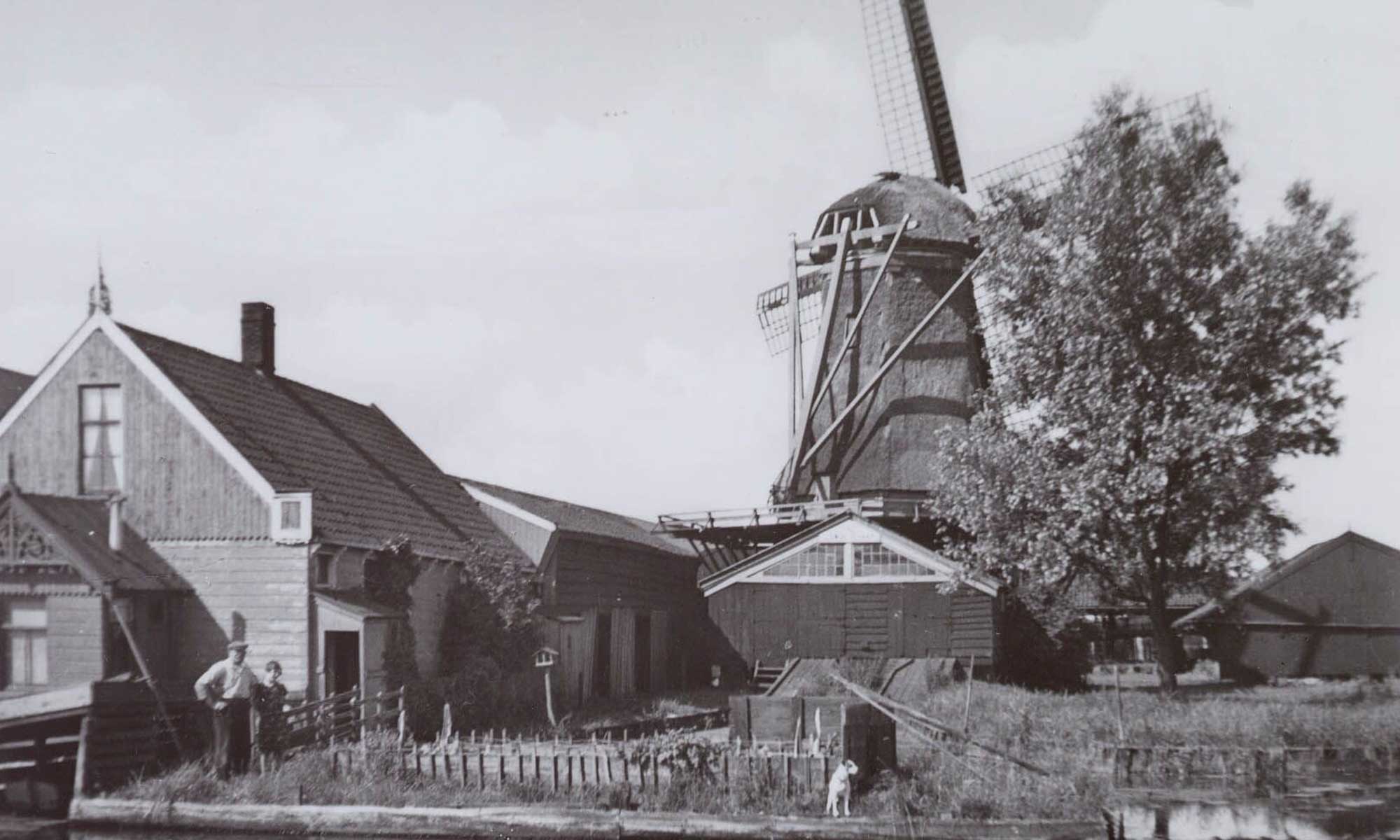 Het-Jonge-Schaap-01 Holzsägewerk Das junge Schaf